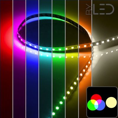 Strip IP20 - RGB & Blanc chaud - 19,2W/m