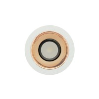 Down light orientable 10W - 36° - CCT - 2.4 GHz - BLADE